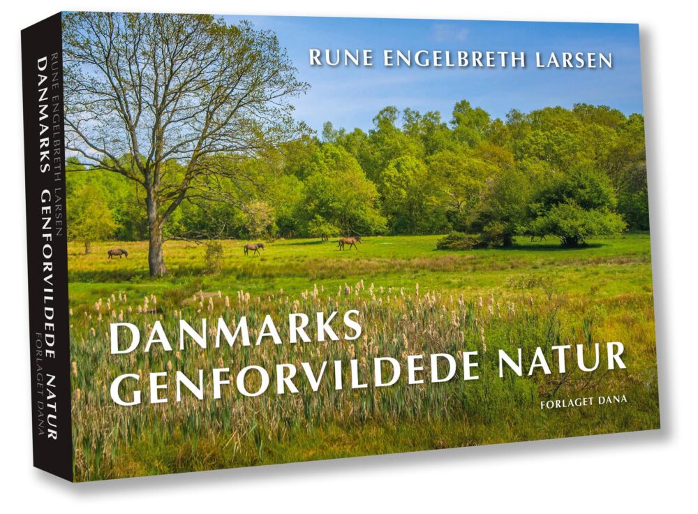 Danmarks genforvildede natur